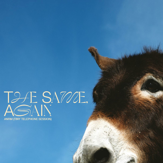 The Same Again: ANRM (Tiny Telephone Session) album cover