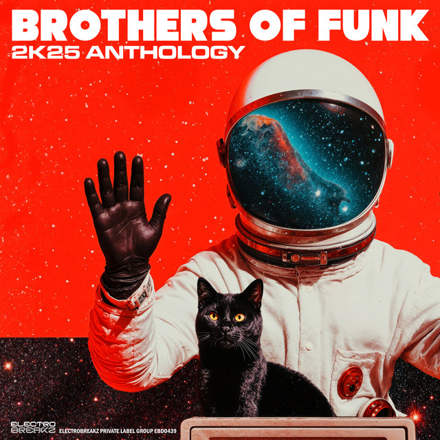 Brothers Of Funk 2K25 Anthology album cover