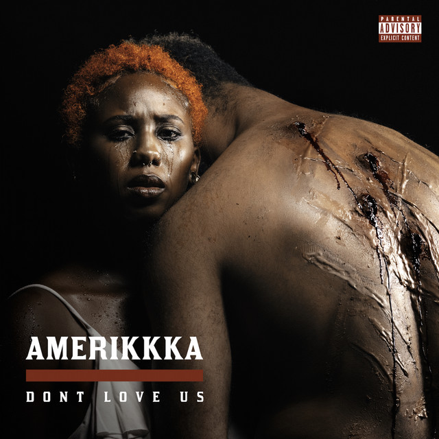 Amerikkka Dont Love Us album cover