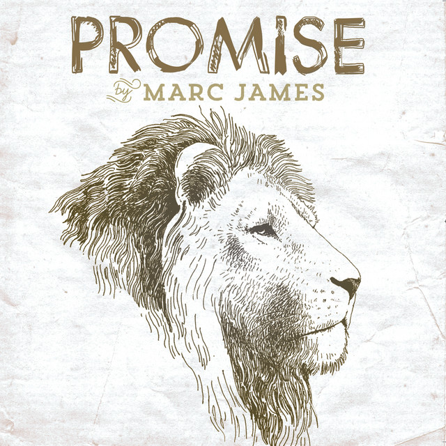 Promise album cover