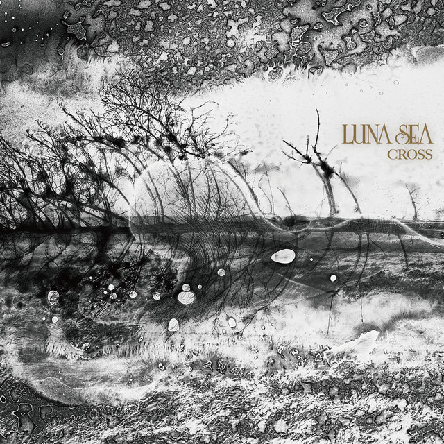 CROSS album cover