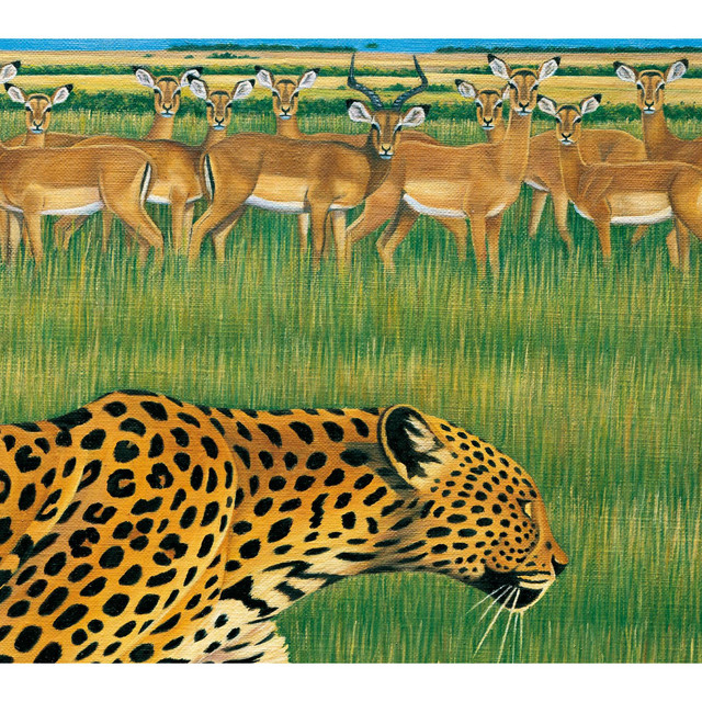 zoo album cover
