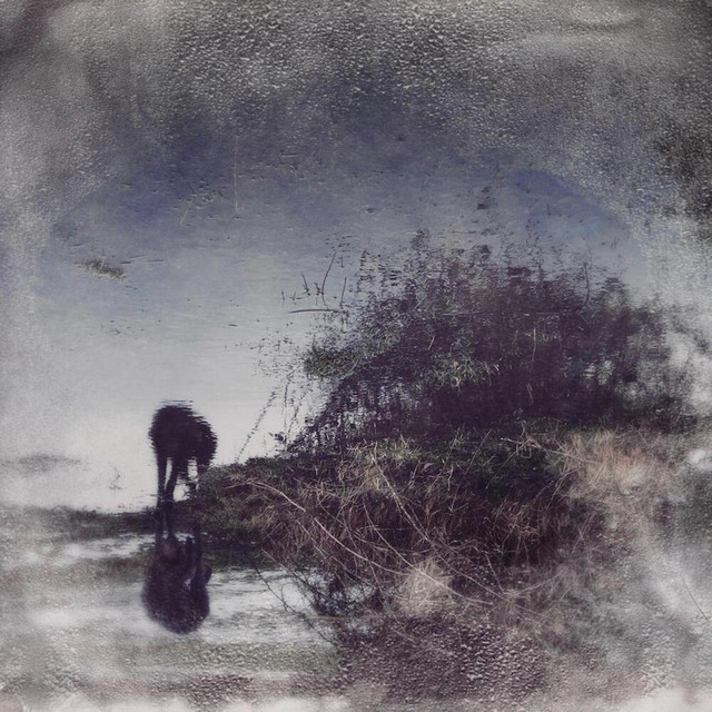 Flux & Contemplation - Portrait of an Artist in Isolation album cover