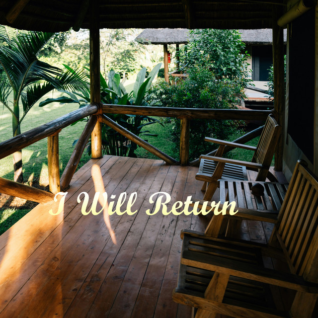 I Will Return (Vol.01) album cover