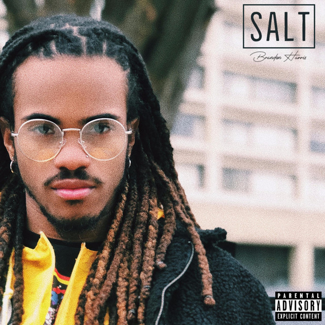 Salt album cover