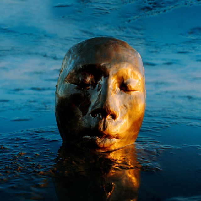 The Misfit album cover