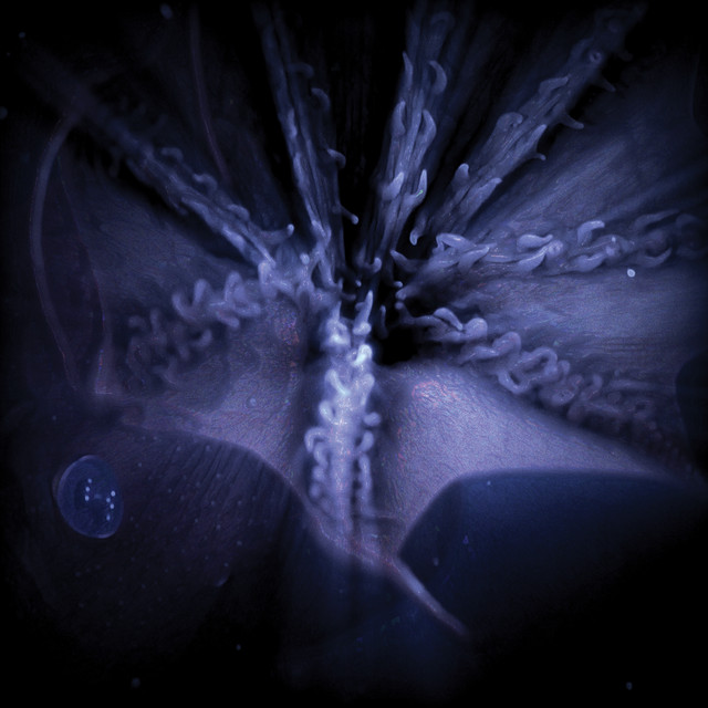 Infra Aqual album cover