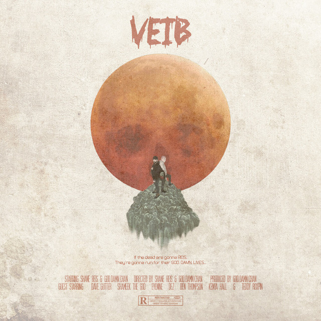 VEIB album cover