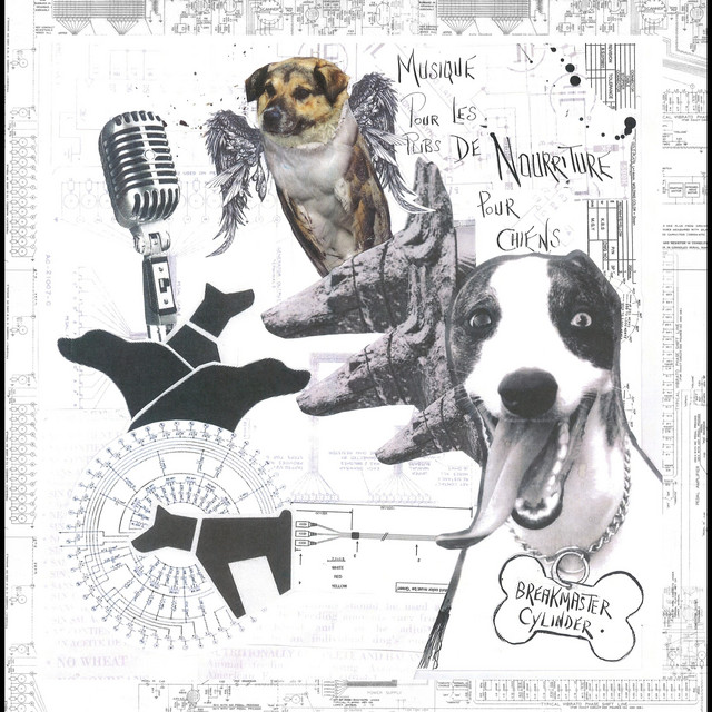 Musique Pour Les Pubs de Nourriture Pour Chiens album cover