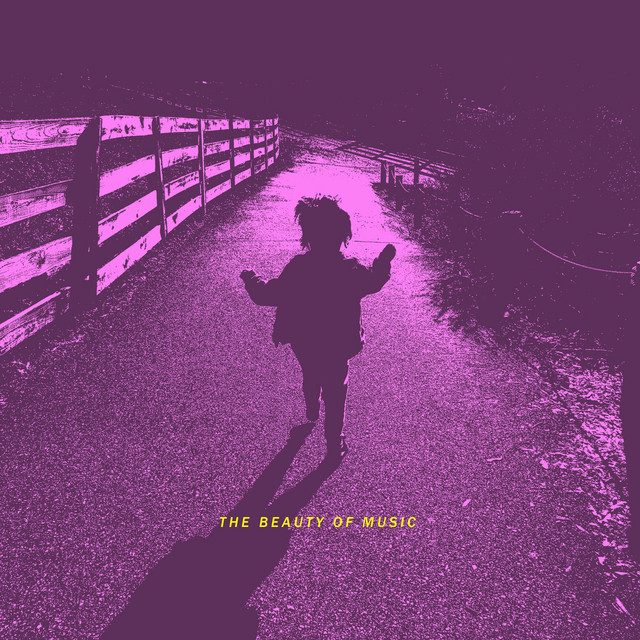 The Beauty of Music album cover