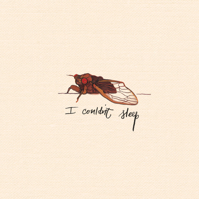 I Couldn't Sleep