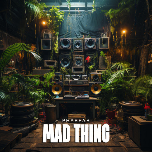 Mad Thing album cover