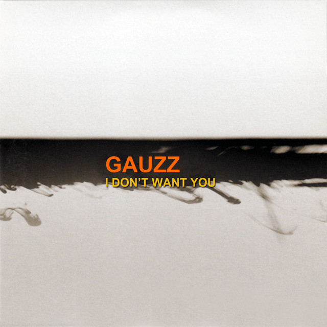 I Don't Want You album cover