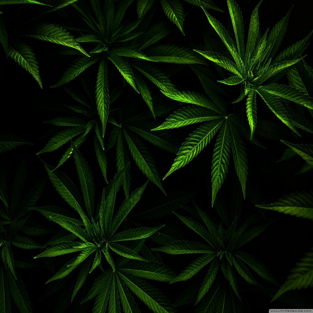 Weed Farm Instrumentals album cover