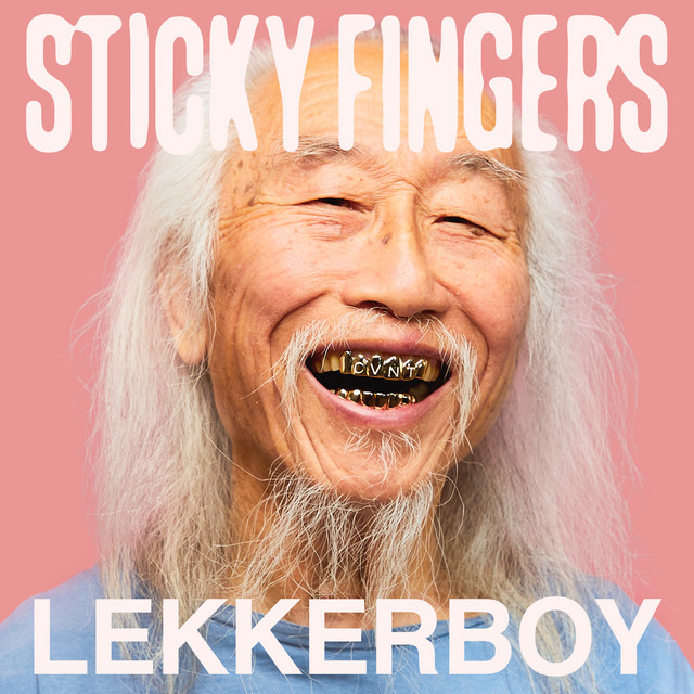 LEKKERBOY album cover