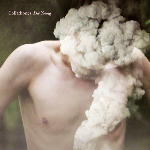 Die Young album cover