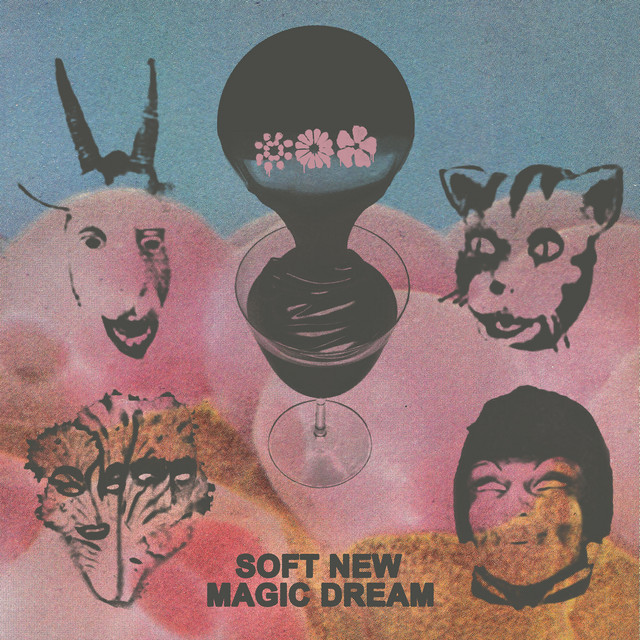 Soft New Magic Dream album cover