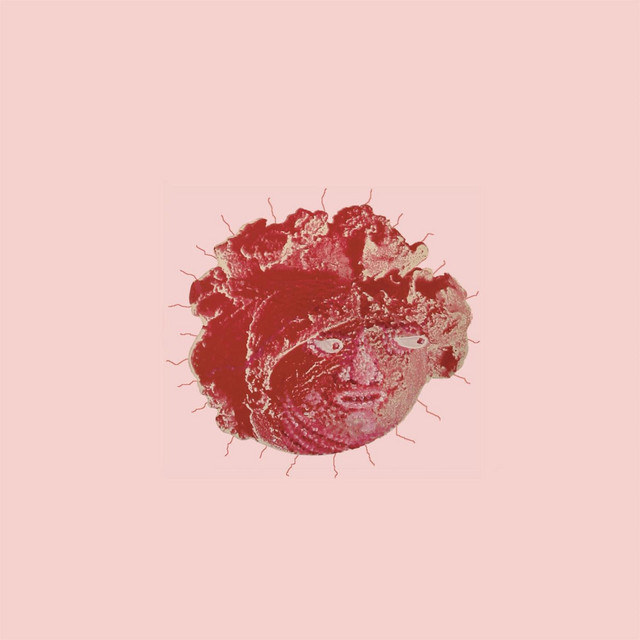 Lost, Picking Flowers in the Woods album cover