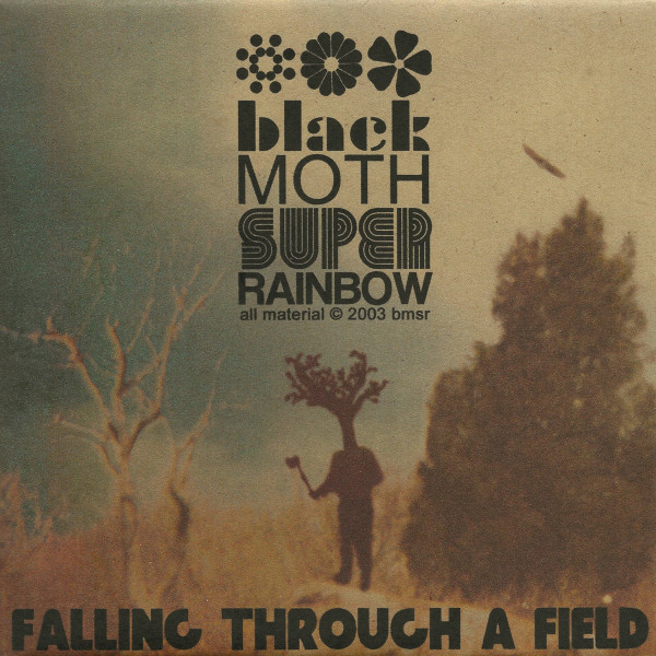 Falling Through a Field album cover