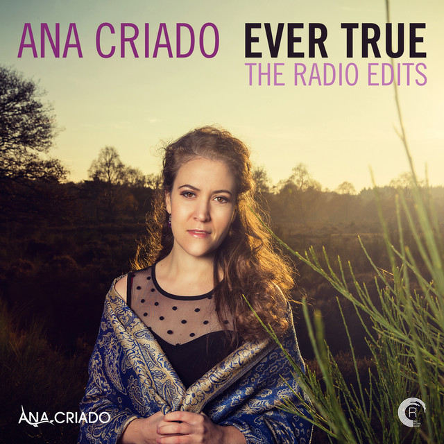 Ever True - The Radio Edits album cover