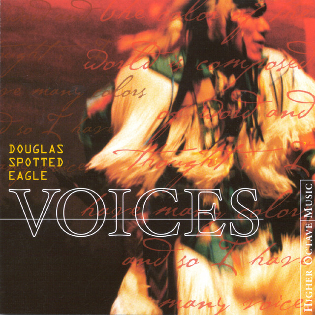 Voices album cover