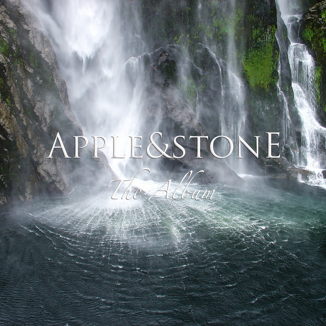 The Album album cover