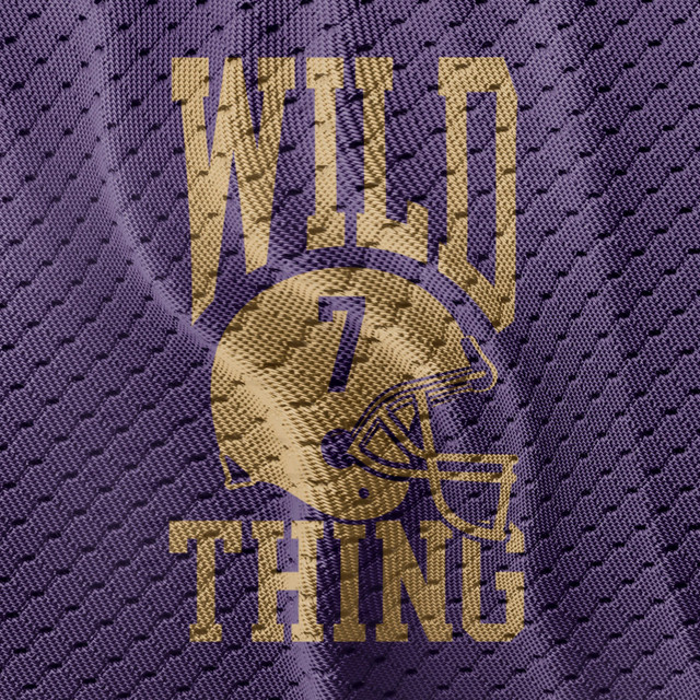 Wild Thing album cover