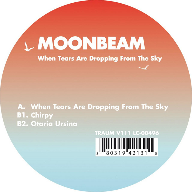 When Tears Are Dropping from the Sky album cover