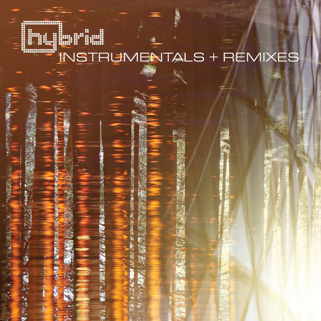 Instrumentals and Remixes album cover