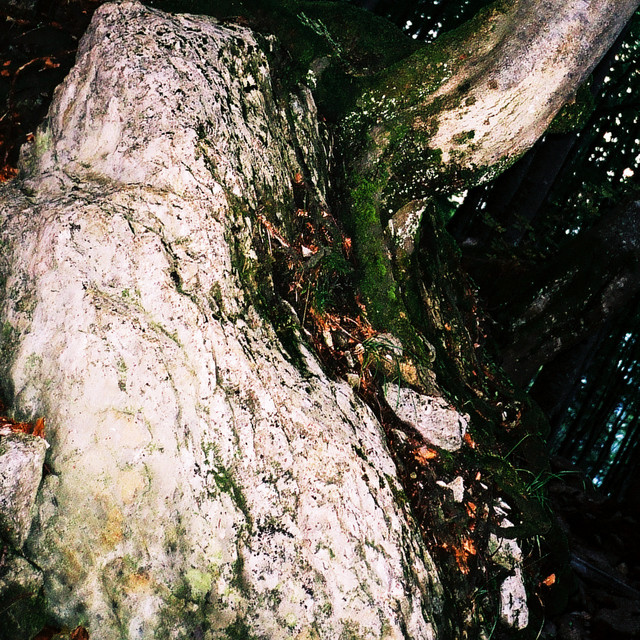 Fifteen Trails album cover