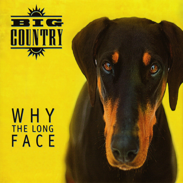 Why the Long Face (Bonus Tracks & Demos) album cover