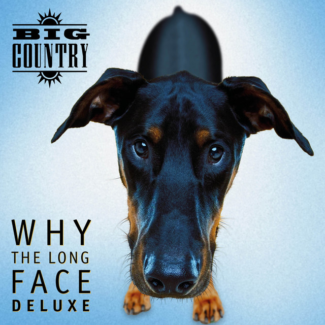 Why the Long Face (Deluxe) album cover