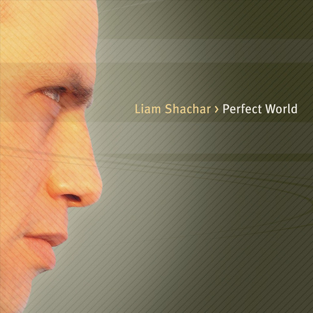 Perfect World album cover
