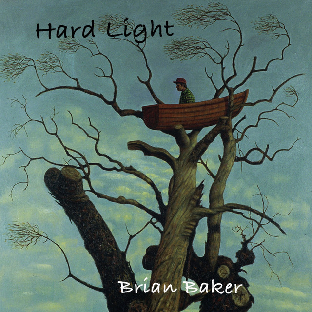 Hard Light album cover