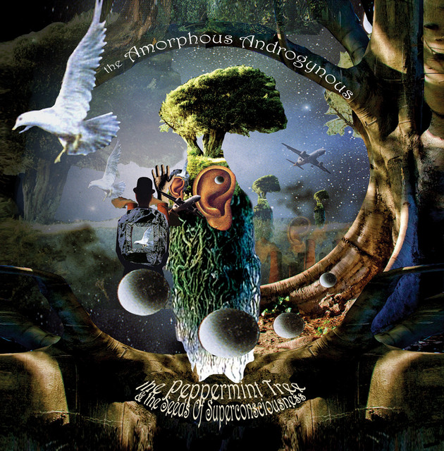 The Peppermint Tree & The Seeds Of Superconsciousness album cover