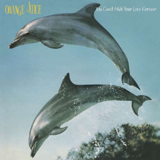 You Can't Hide Your Love Forever album cover