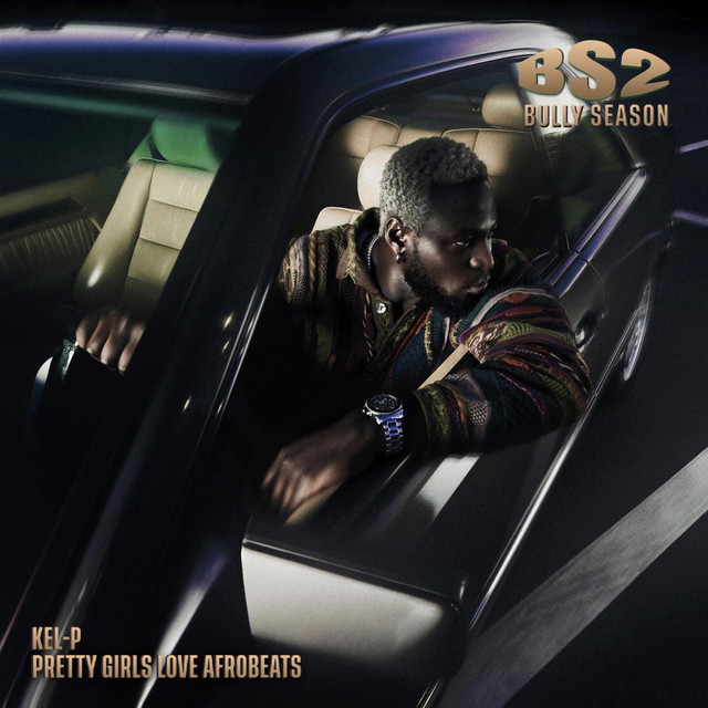 Bully Season Vol.2 : Pretty Girls Love Afrobeats album cover