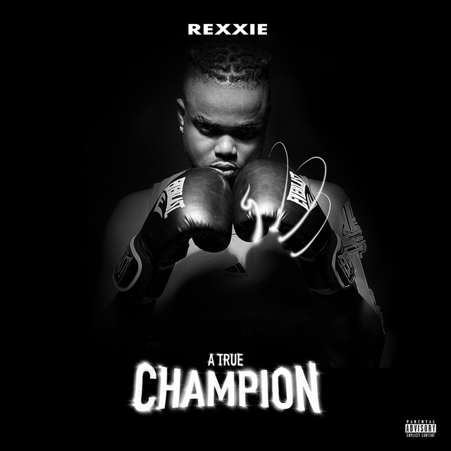 A True Champion album cover