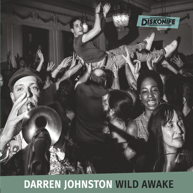 Wild Awake album cover