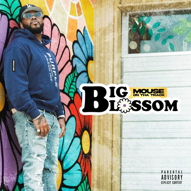 Big Blossom album cover