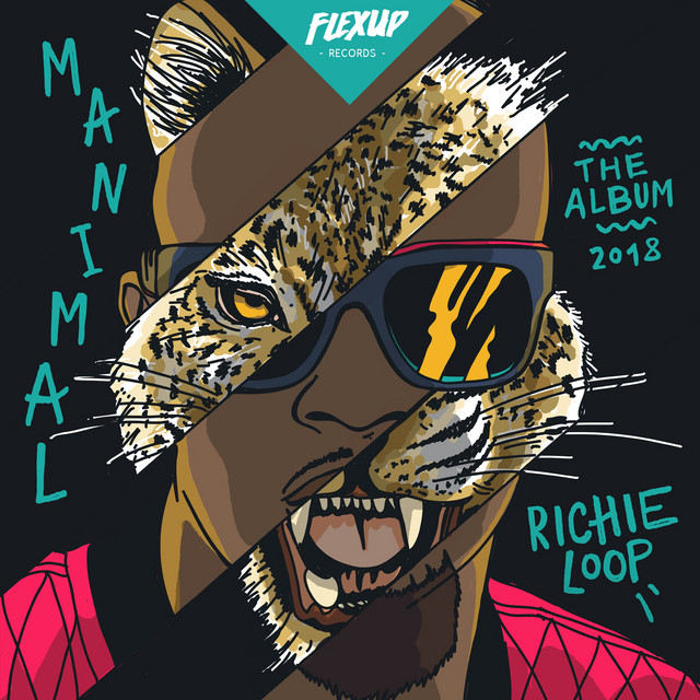 Manimal album cover