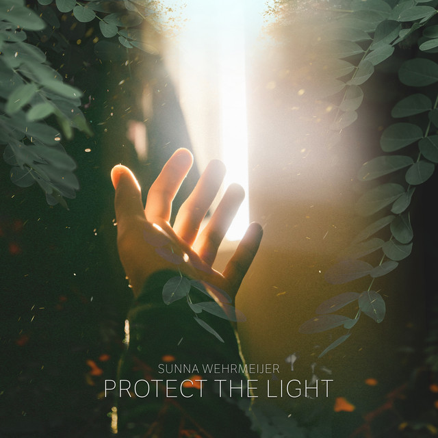 Protect The Light album cover