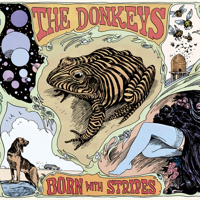 Born With Stripes album cover