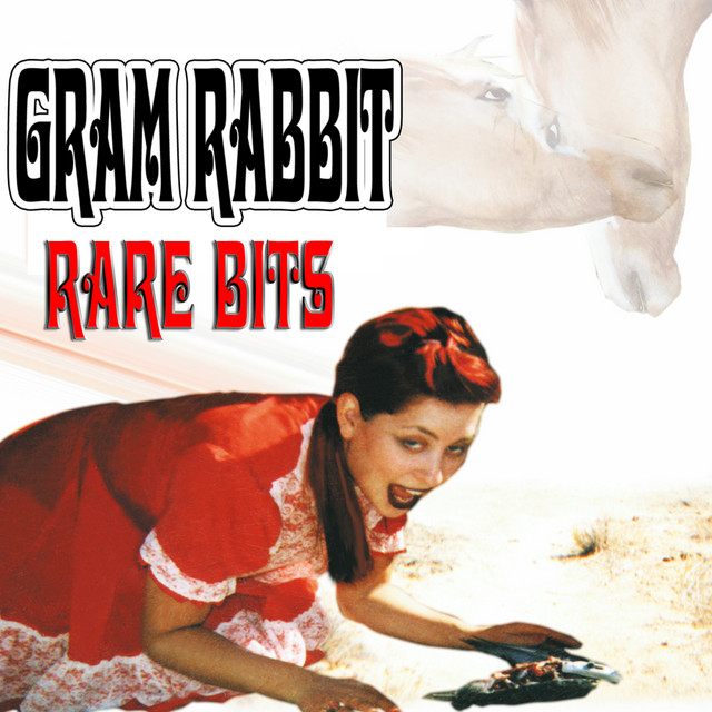 Rare Bits album cover
