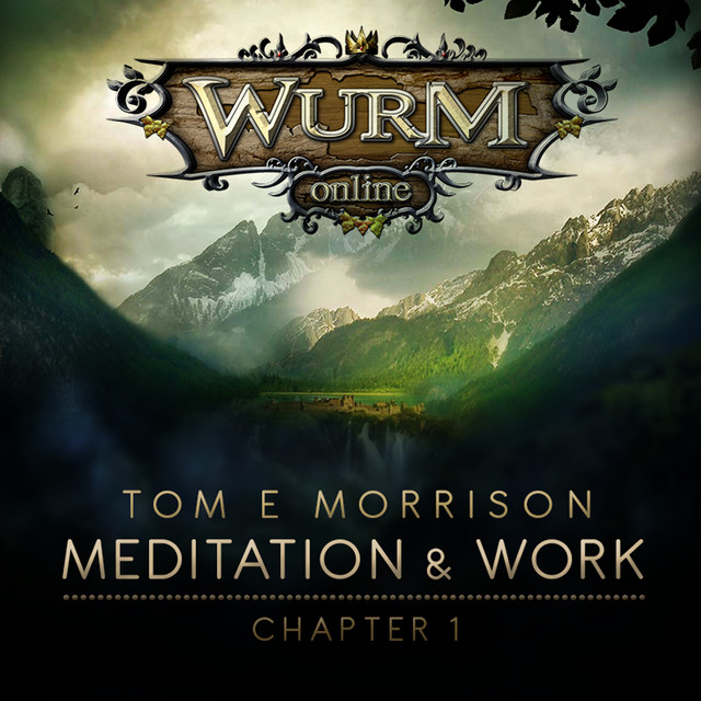 Wurm Online - Meditation & Work: Chapter 1 album cover