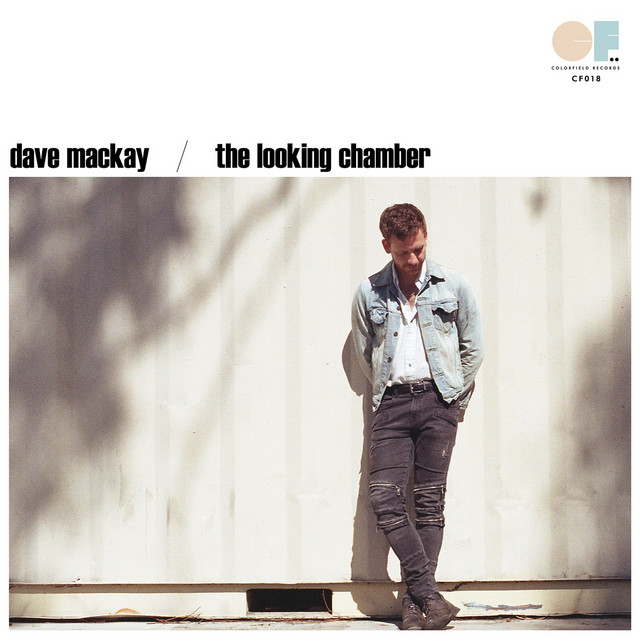 The Looking Chamber album cover
