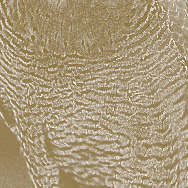 The Peregrine album cover