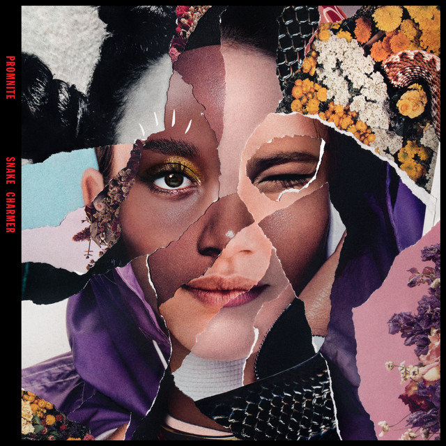 Snake Charmer album cover