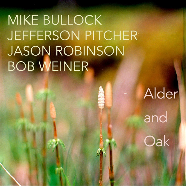 Alder and Oak album cover
