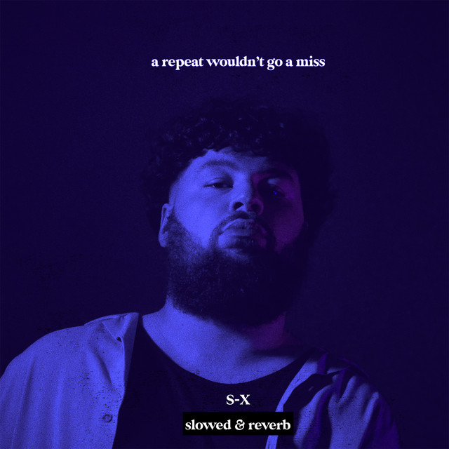 A Repeat Wouldn't Go A Miss (slowed & reverb) album cover